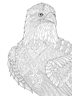 Página para Colorir Retrato Mandala de Águia
