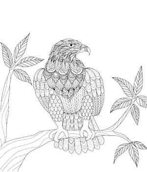 Página para Colorir Mandala de Águia Empoleirada em Galho de Árvore