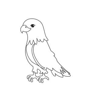 Página para Colorir Águia Bebê Adorável
