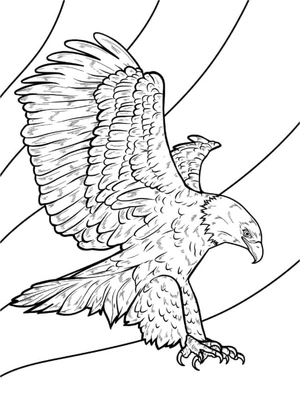 Página para Colorir Águia Média