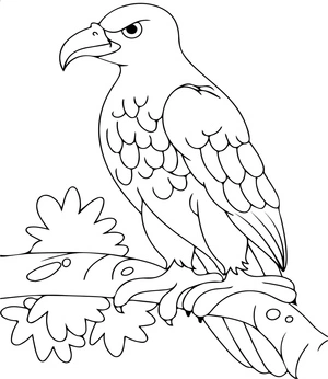 Página para Colorir Páginas de Colorir Águia Grátis