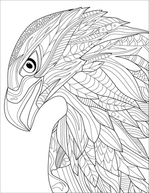 Página para Colorir Cabeça de Águia