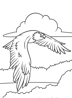 Página para Colorir Águia Majestosa