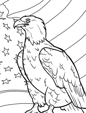 Página para Colorir Página para Colorir Águia Patriótica