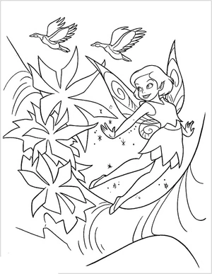 Página para Colorir Fada com Dois Pássaros