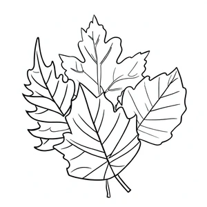 Página para Colorir Página para Colorir Folhagem de Outono