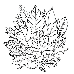 Página para Colorir Imagem de Folhas de Outono