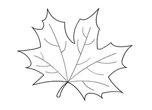 Página para Colorir Folhagem de Outono
