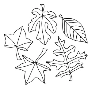 Página para Colorir Folhas Caindo