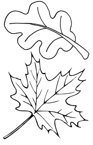 Página para Colorir Par de Folhas de Outono