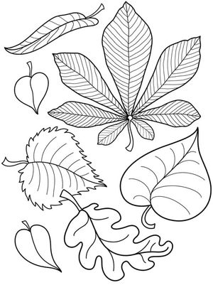 Página para Colorir Página para Colorir Folhas de Outono para Imprimir