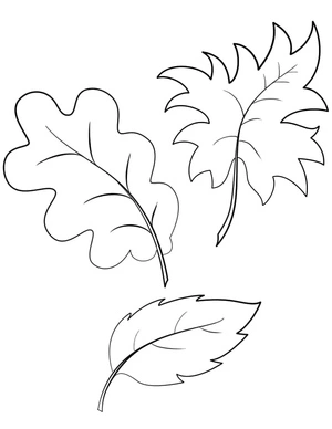 Página para Colorir Página para Colorir Três Folhas de Outono