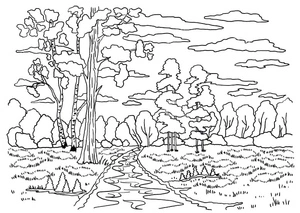 Página para Colorir Paisagem de Outono