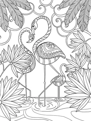 Página para Colorir Mandala de um Par de Flamingos