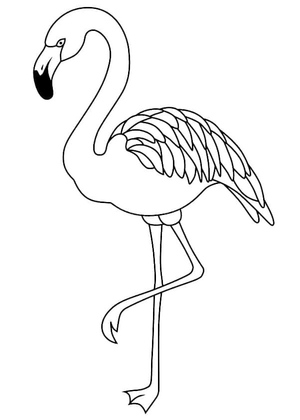 Design de Flamingo para Imprimir