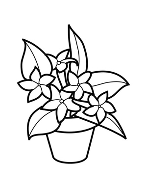 Vaso de Flor