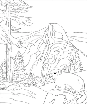 Página para Colorir Castor na Floresta