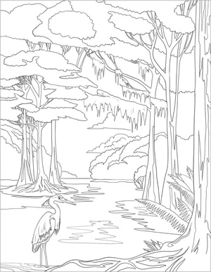 Página para Colorir Garça na Floresta