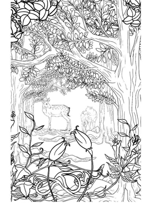 Lobo e Lince na Moita da Floresta