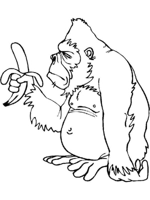 Gorila com Banana