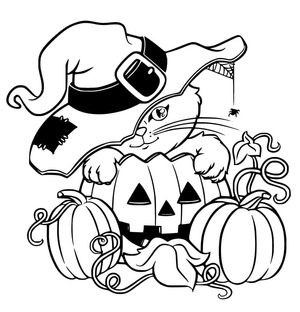 Gato de Halloween
