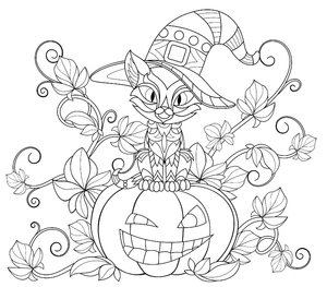 Gato com chapéu de bruxa em abóbora, página de colorir detalhada de Gato de Halloween, grátis para imprimir