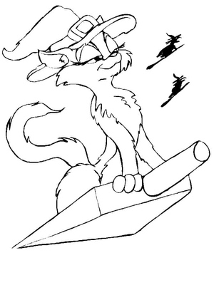 Gato Bruxa Halloween