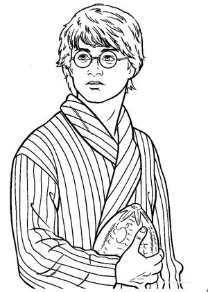 Harry Potter aos 16 anos