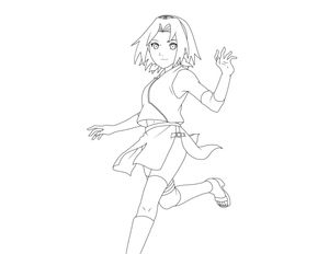 Dia Maravilhoso de Sakura
