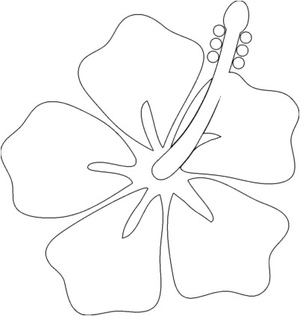 Flor de Hibisco