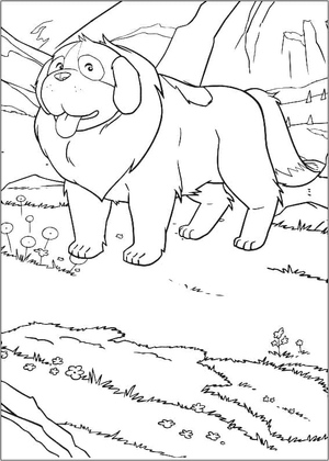 Heidi