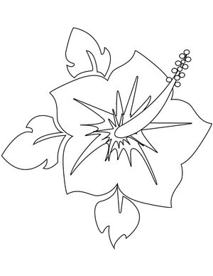 Página para Colorir Hibisco em Flor