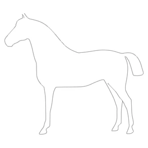 Página para Colorir Página de Contorno de Cavalo