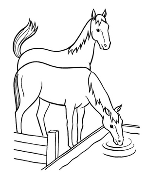 Página para Colorir Cavalos Bebendo Água
