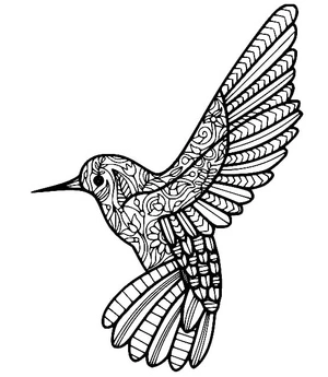 Página para Colorir Desenho Zentangle de Beija-flor