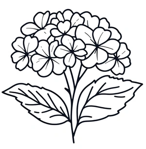Página para Colorir Página para Colorir Flor de Hortênsia para Imprimir