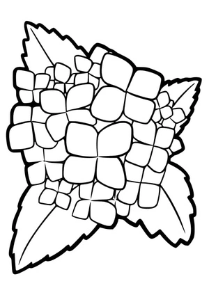 Página para Colorir Hortênsia Simples