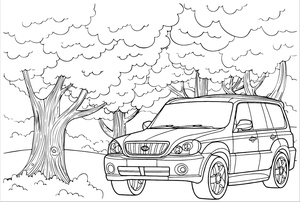 Carro na Selva Hyundai