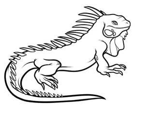 Página para Colorir Uma Iguana
