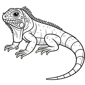 Uma Iguana Comum