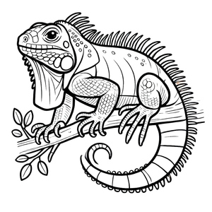 Iguana Grátis