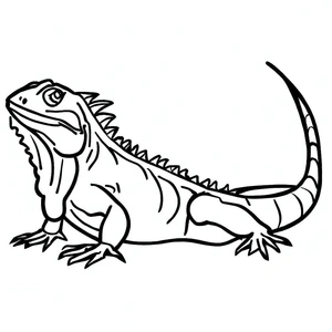 Página para Colorir Página de Arte de Iguana