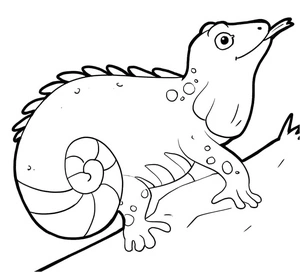Página para Colorir Iguana Desenho Animado