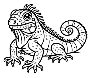 Página para Colorir Página para Colorir de Iguana