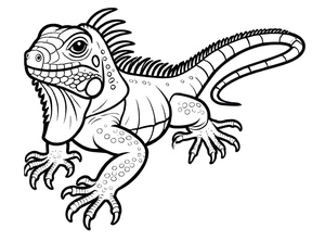 Iguana na Natureza