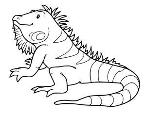 Página para Colorir Iguana Cartoon Alegre