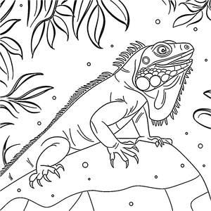 Página para Colorir Página de Colorir Iguana para Crianças