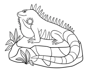 Página para Colorir Iguana de Desenho Animado Sorridente