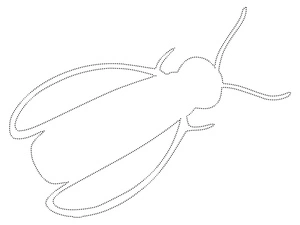 Página para Colorir Rastreamento Simples de Bugs