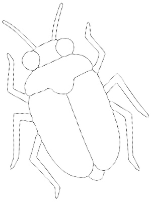 Rastreamento de Insetos